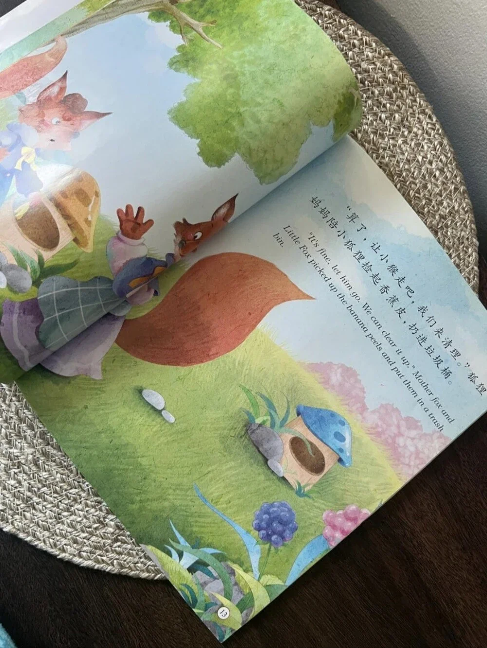 Bilingual Chinese-English Children's Book 